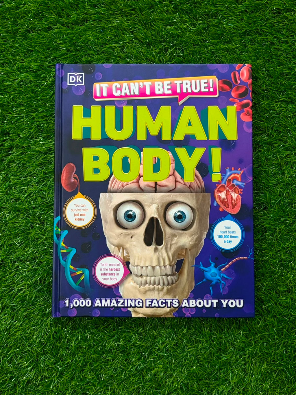 It Can't Be True! Human Body!: 1,000 Amazing Facts About You