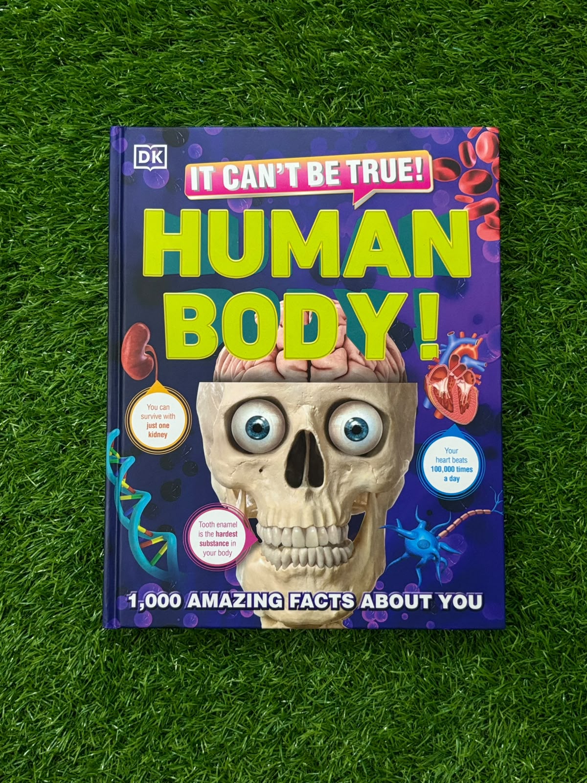 It Can't Be True! Human Body!: 1,000 Amazing Facts About You