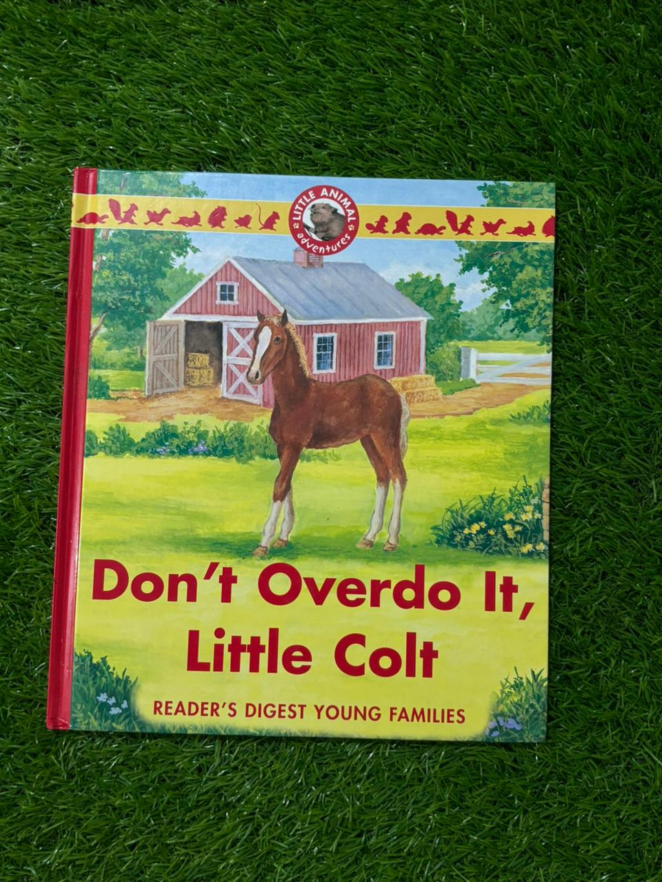 Don't Overdo It Little Colt (Little Animal Adventures)
