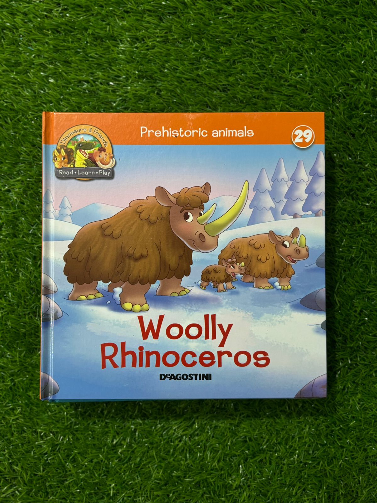 Prehistoric Animals - Rhinoceros