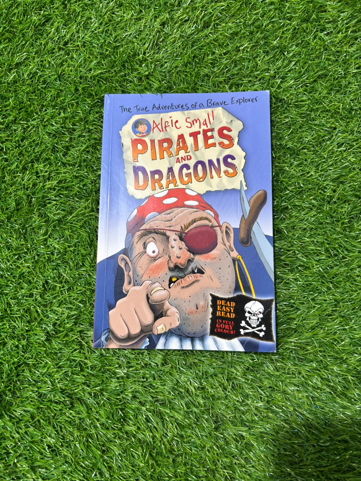 Alfie Small: Pirates and Dragons Easy read in full colour