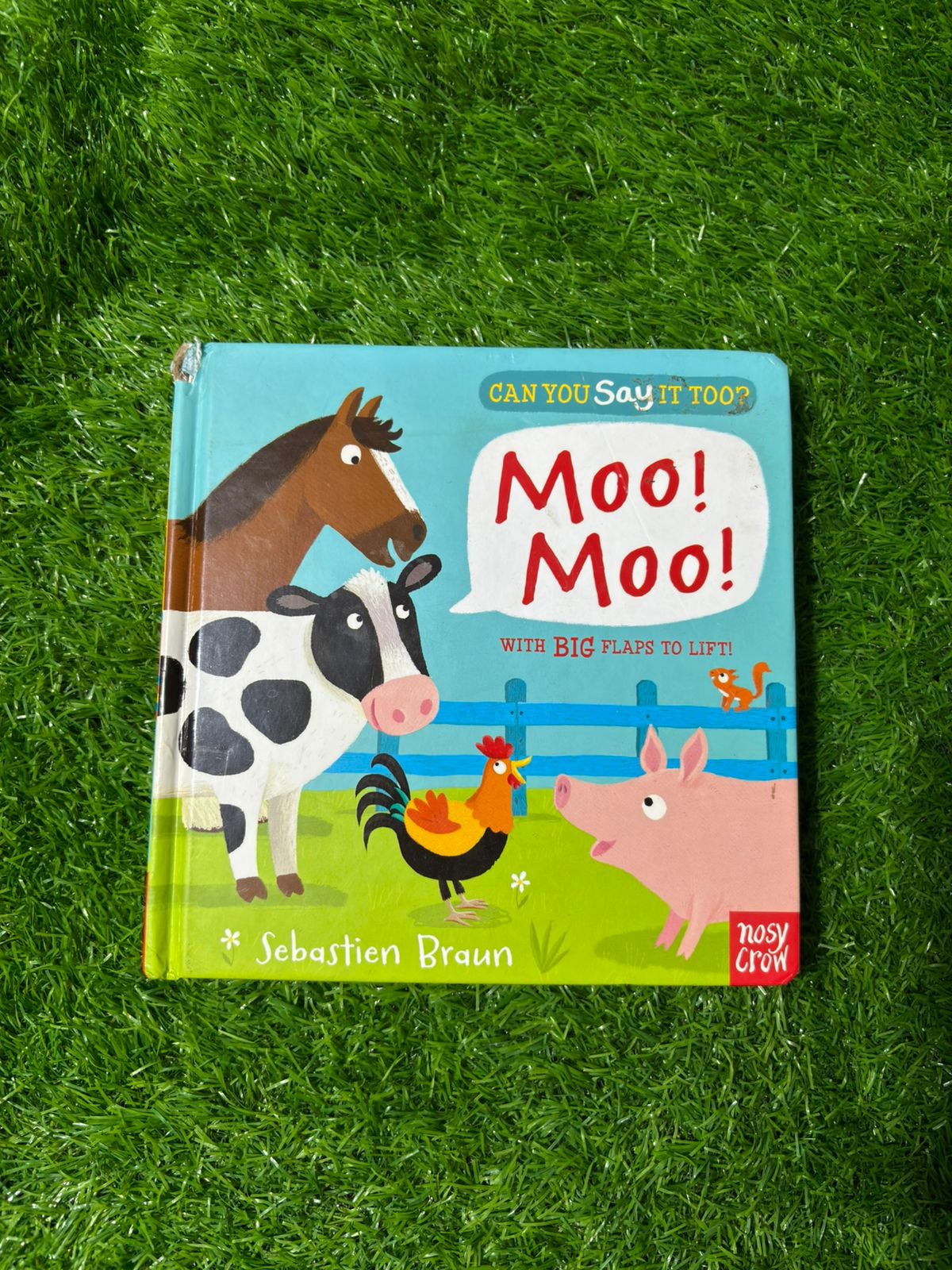 Can You Say It Too? Moo Moo: With BIG Flaps to Lift! Good Condition