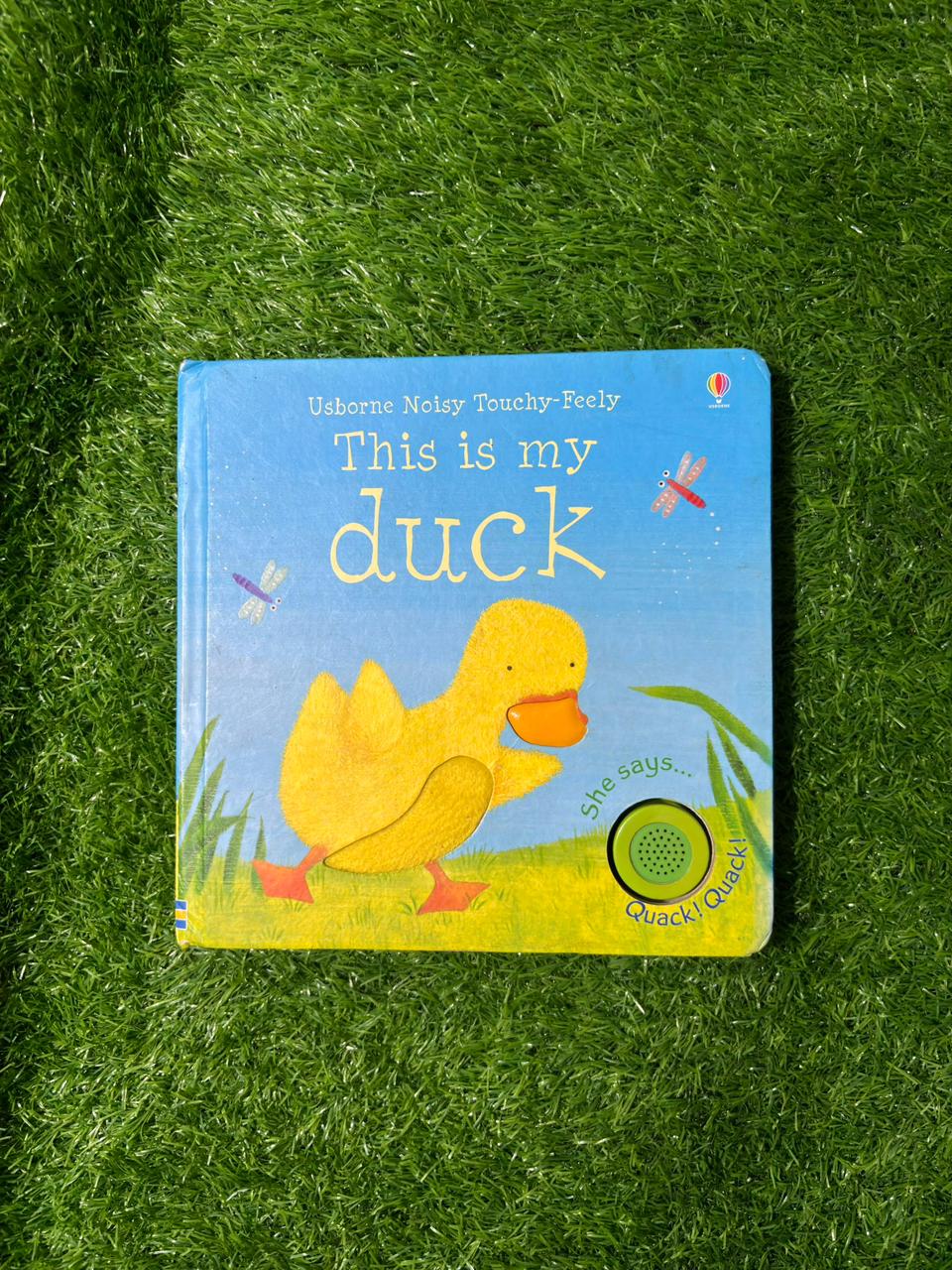 This is My Duck (Preloved)