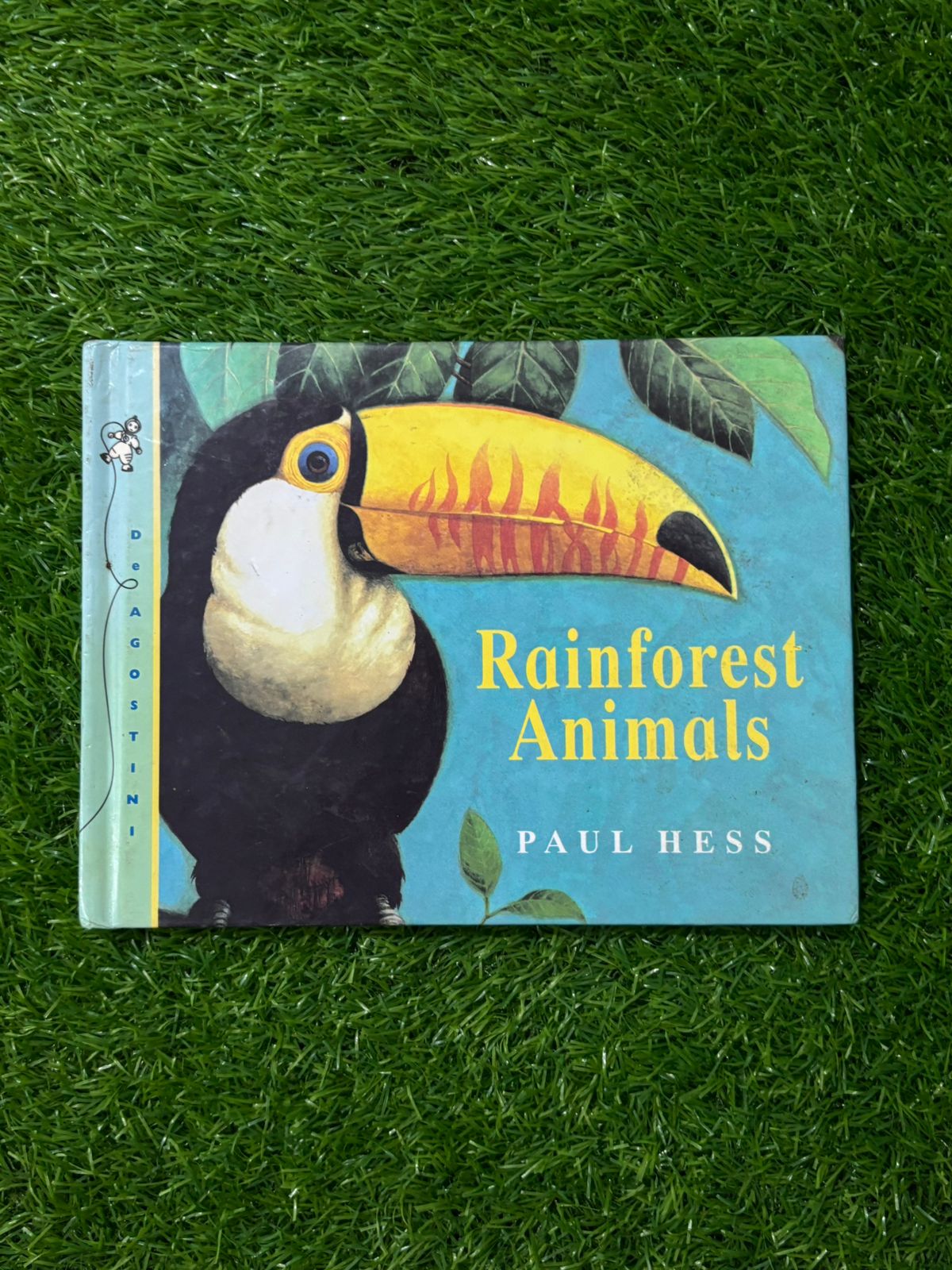 Rain Forest Animals (Animal Worlds)