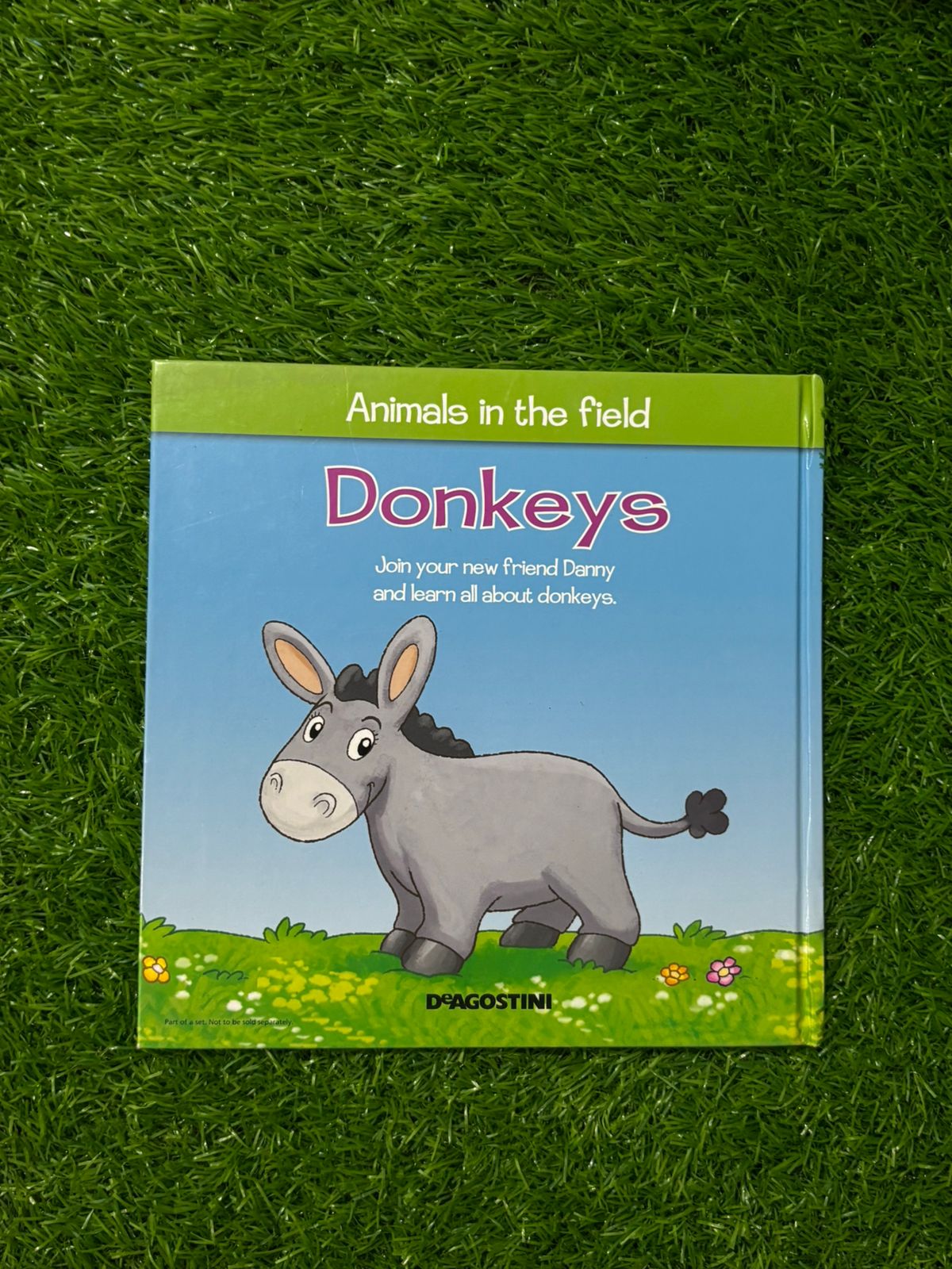 Animal in the Field (Donkeys)