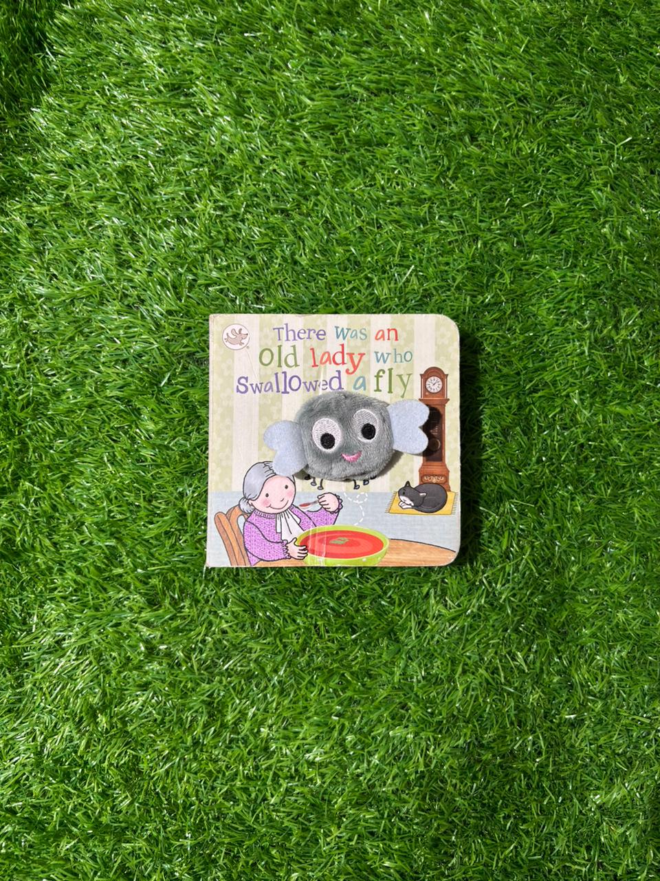 There Was an Old Lady Who Swallowed a Fly (Little Learners) Preloved