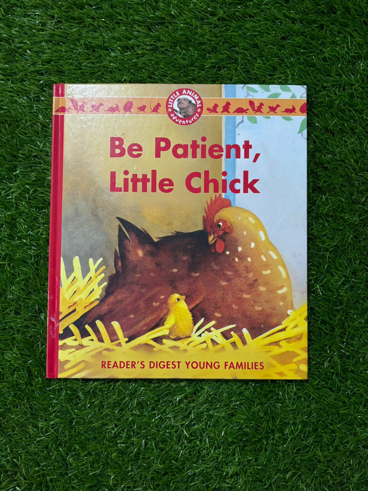 Be Patient, Little Chick
