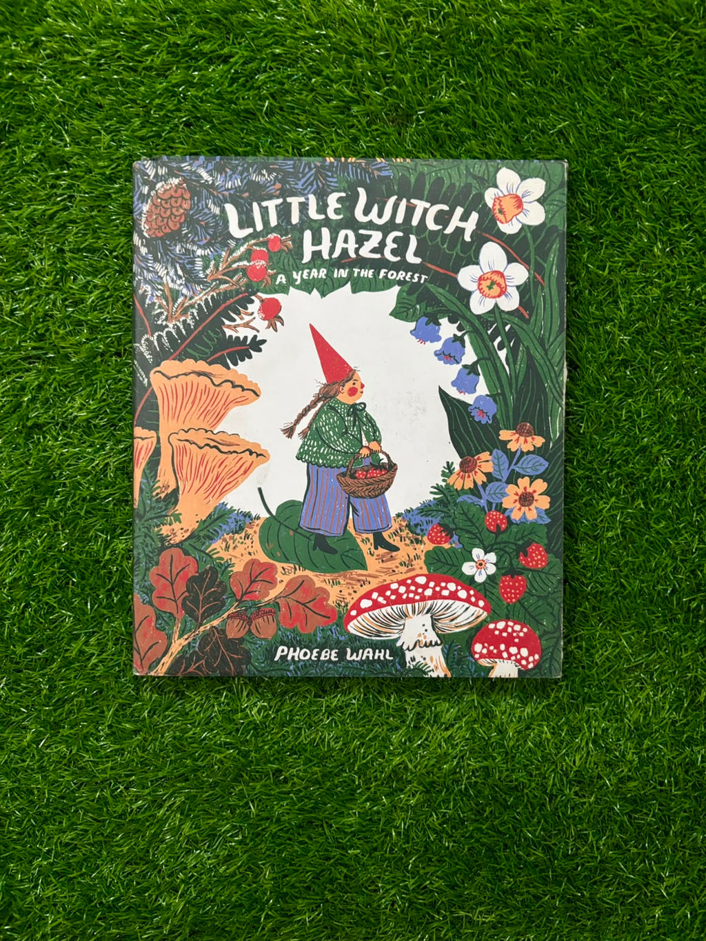 Little Witch Hazel: A Year in the Forest