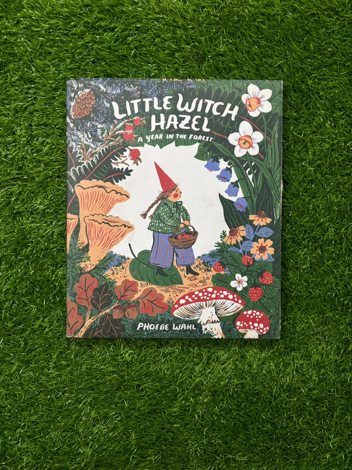 Little Witch Hazel: A Year in the Forest