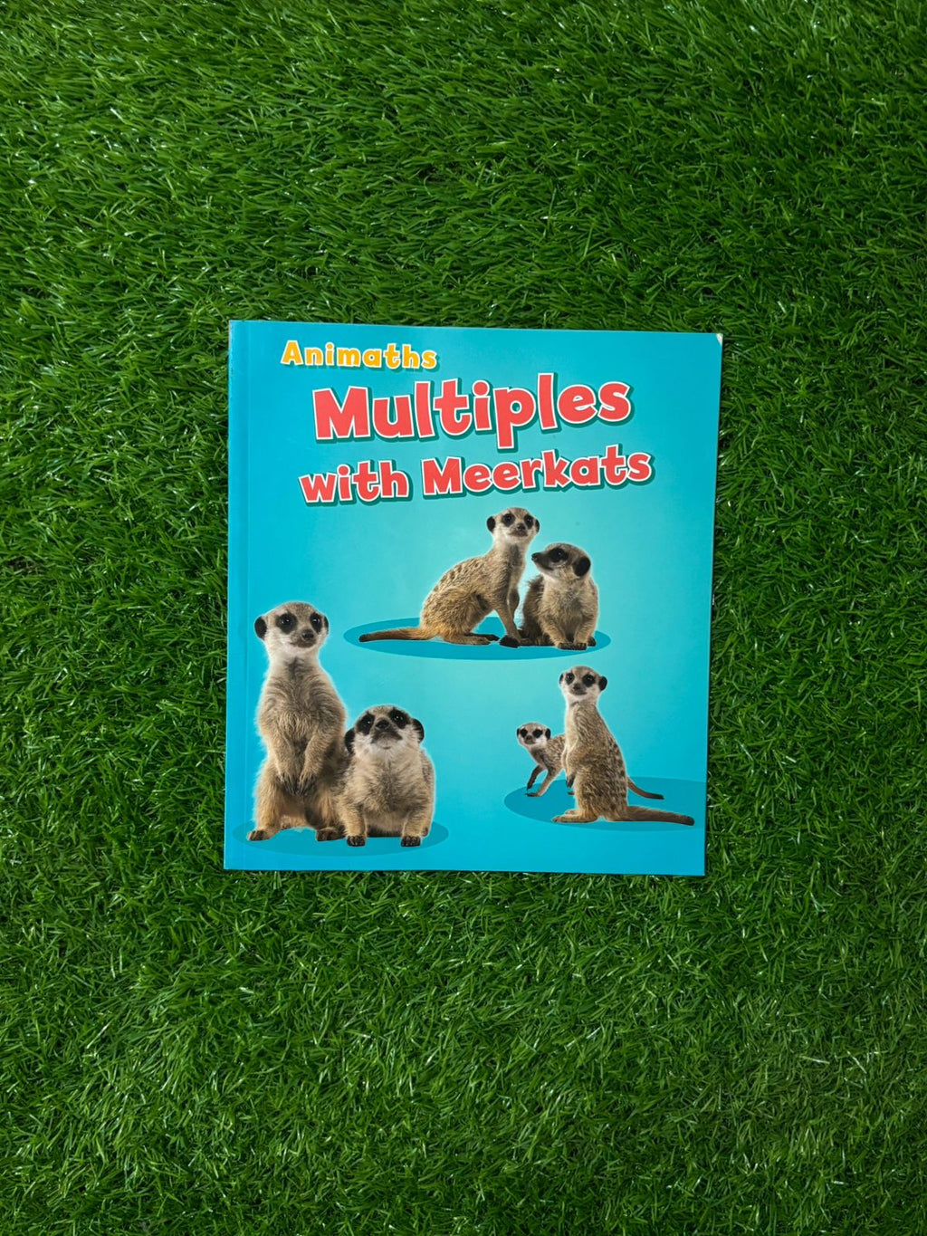 Multiples with Meerkats (AniMaths)