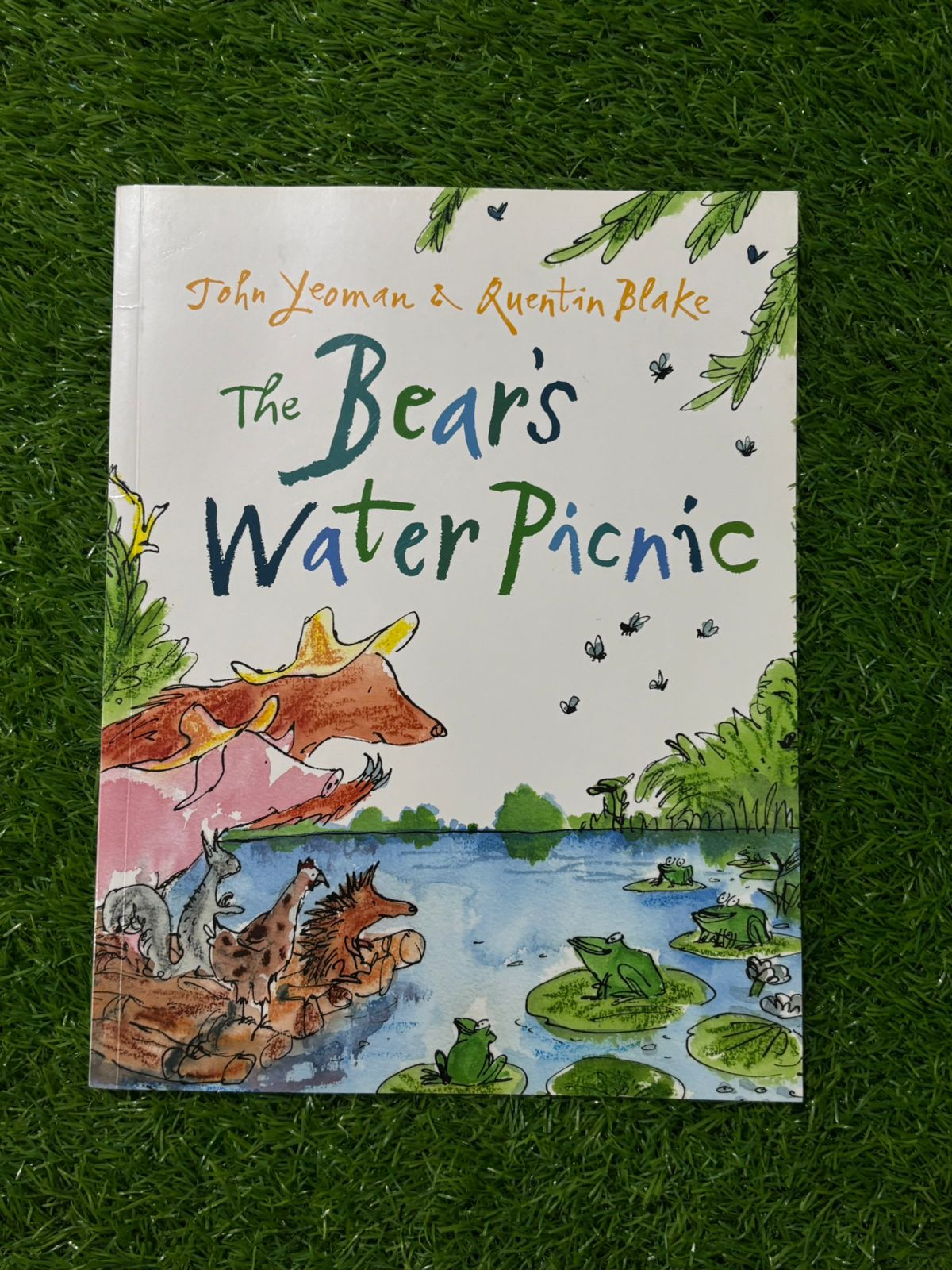 The Bear's Water Picnic