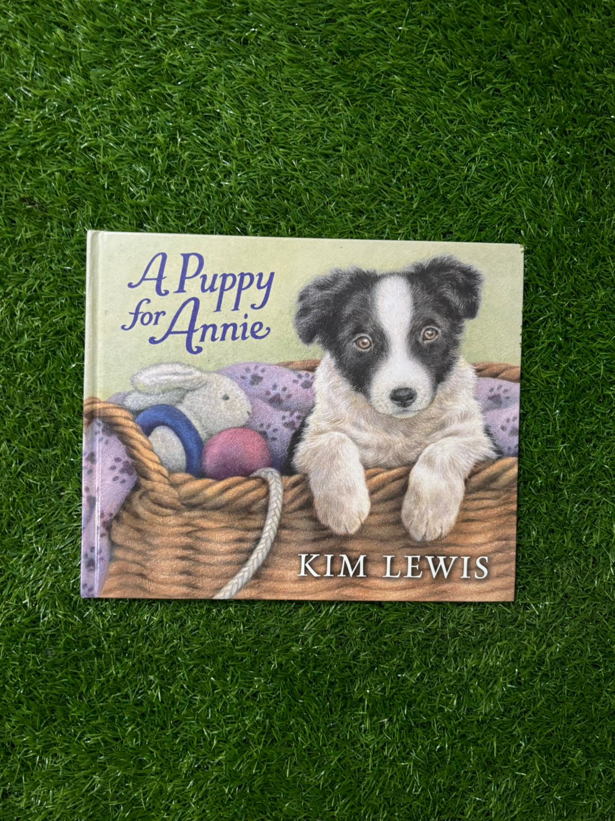 A Puppy for Annie