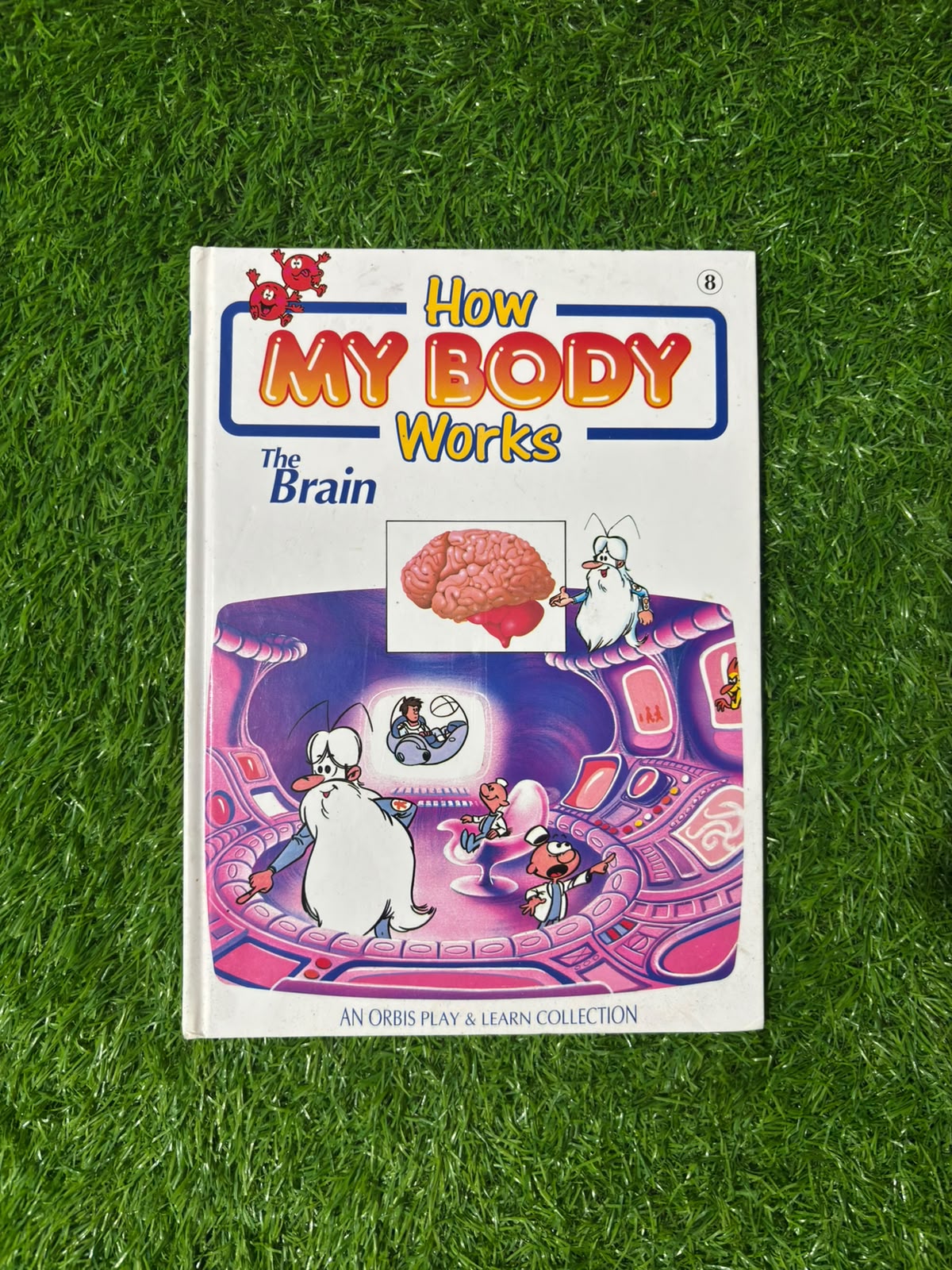 How My Body Works 8 The Brain