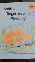 Shhh.... Ginger George is Sleeping
