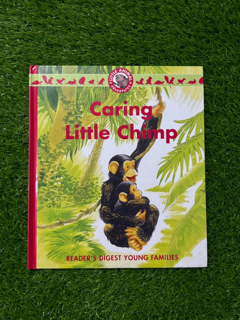 Little Chimp Takes Care of Her Brother (Little Animal Adventures)