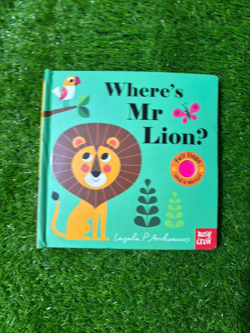 Where's Mr Lion? (Felt Flaps)