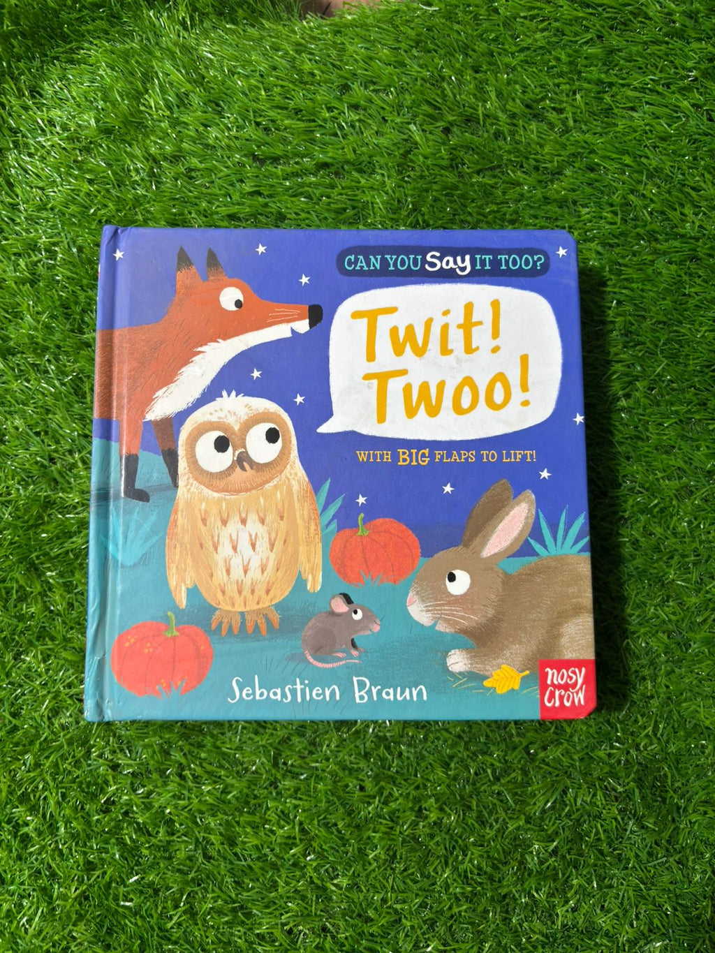 Can You Say It Too? Twit! Twoo!: With BIG Flaps to Lift!