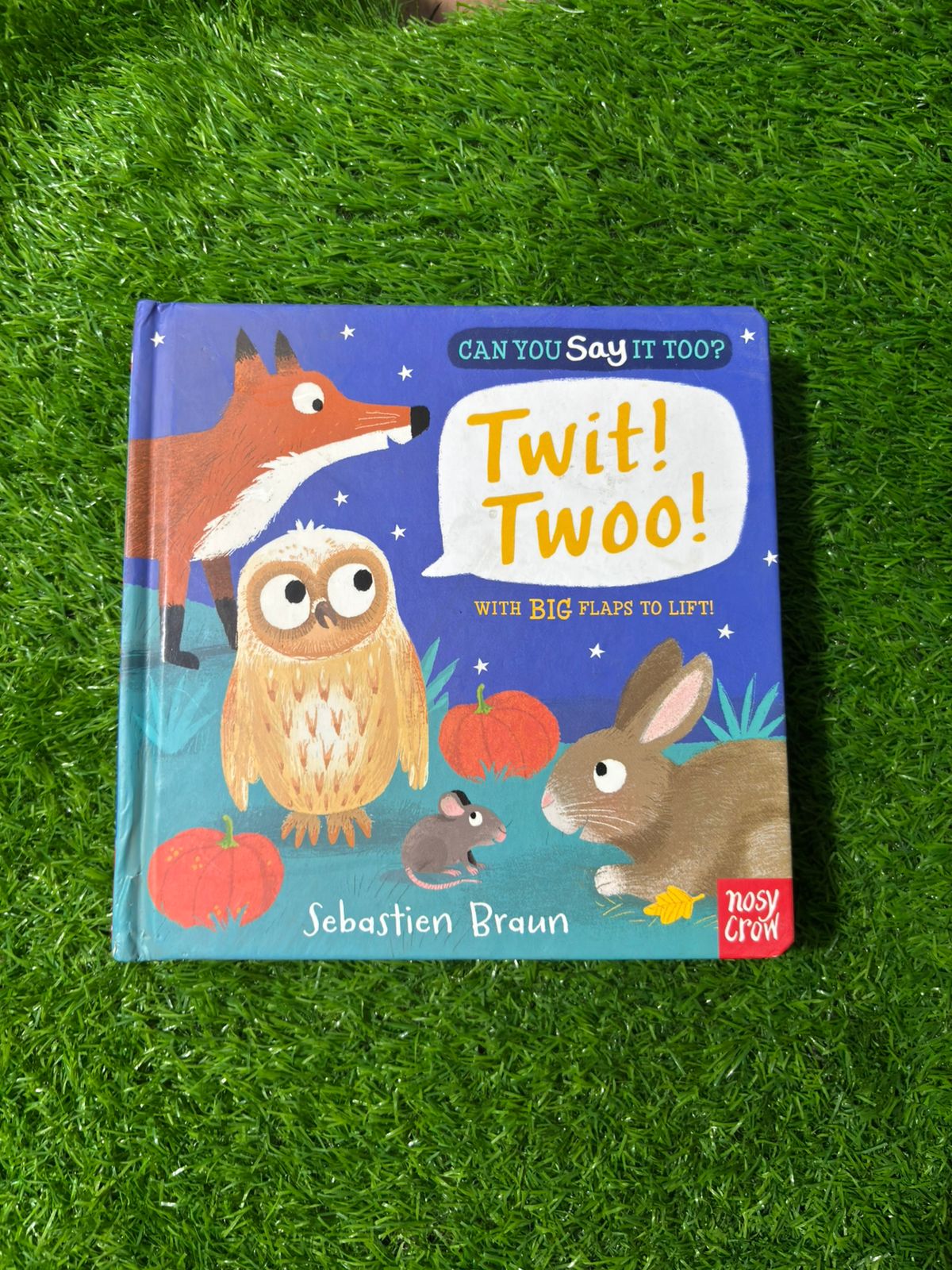 Can You Say It Too? Twit! Twoo!: With BIG Flaps to Lift!