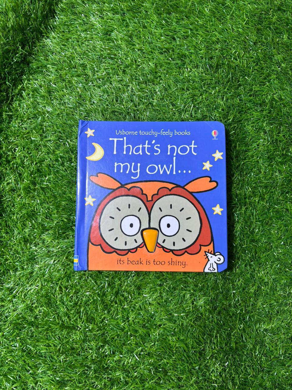 That's not my owl...