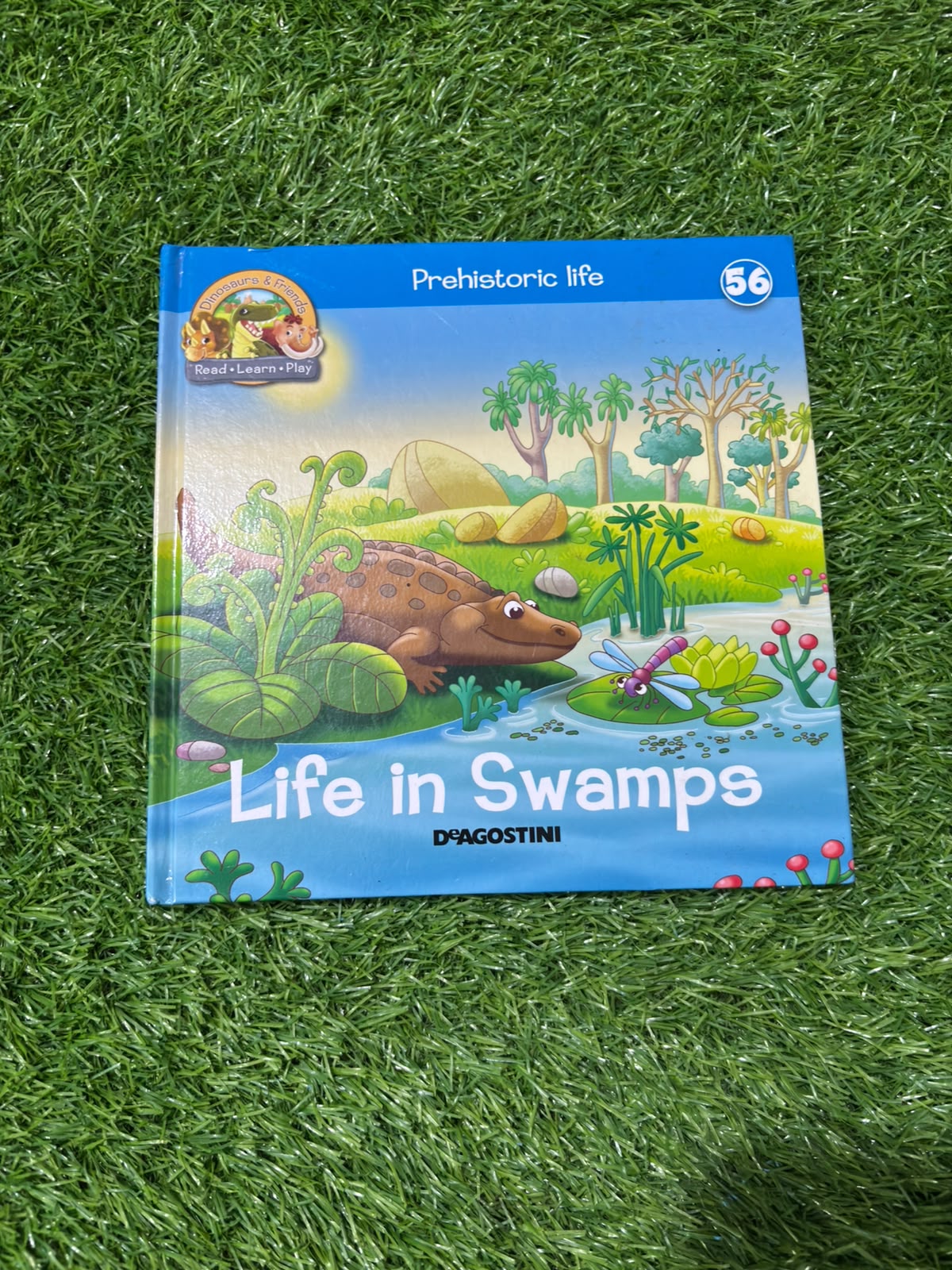 Life in Swamps