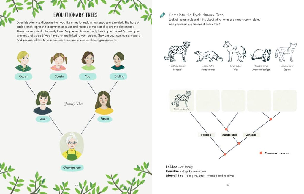 Evolution Colouring and Activity Book