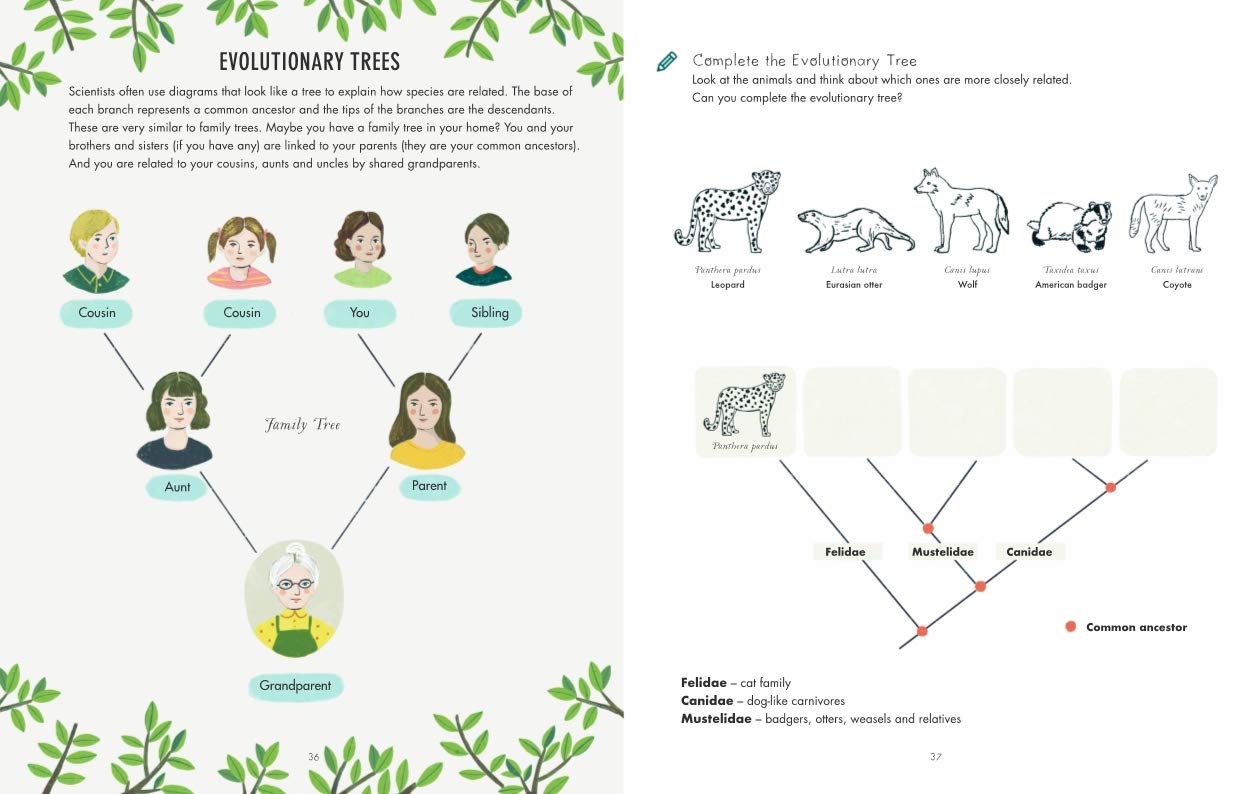 Evolution Colouring and Activity Book