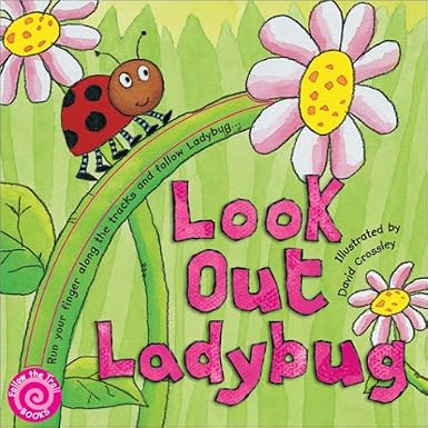 Look Out Ladybug