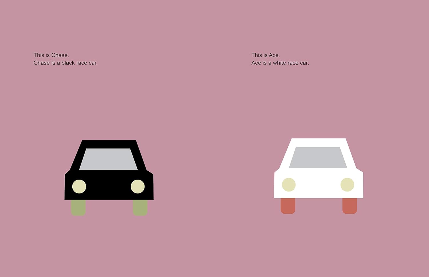 Race Cars: A children's book about white privilege