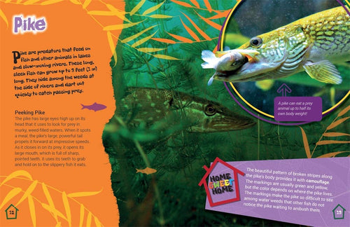 A HOME IN THE BIOME: RIVERS AND LAKES