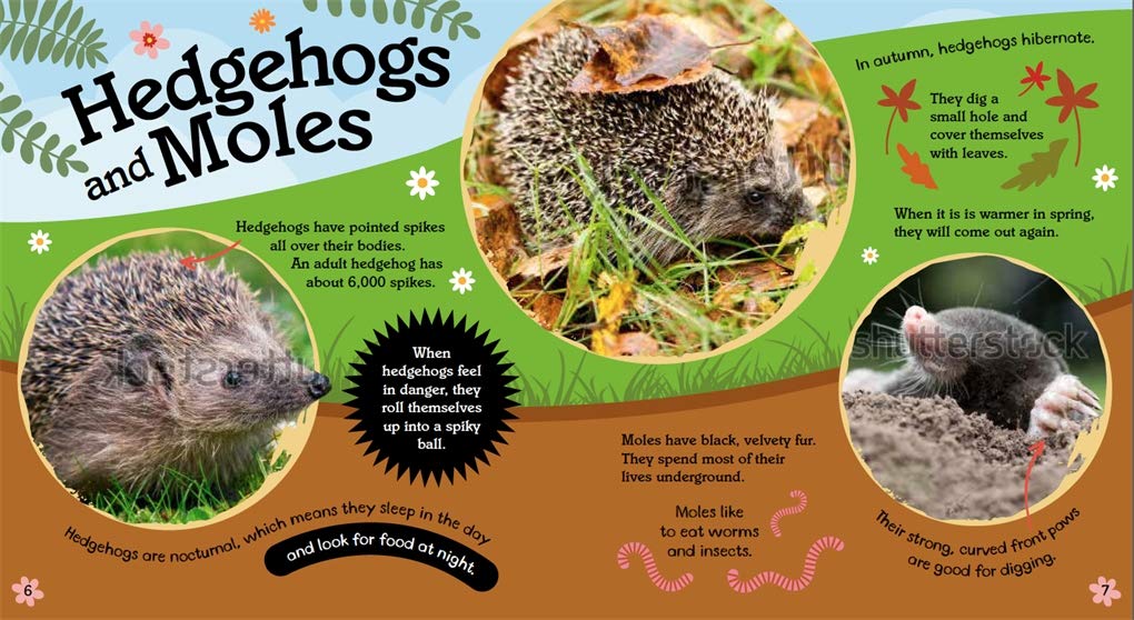 My First Book of Nature: Minibeasts