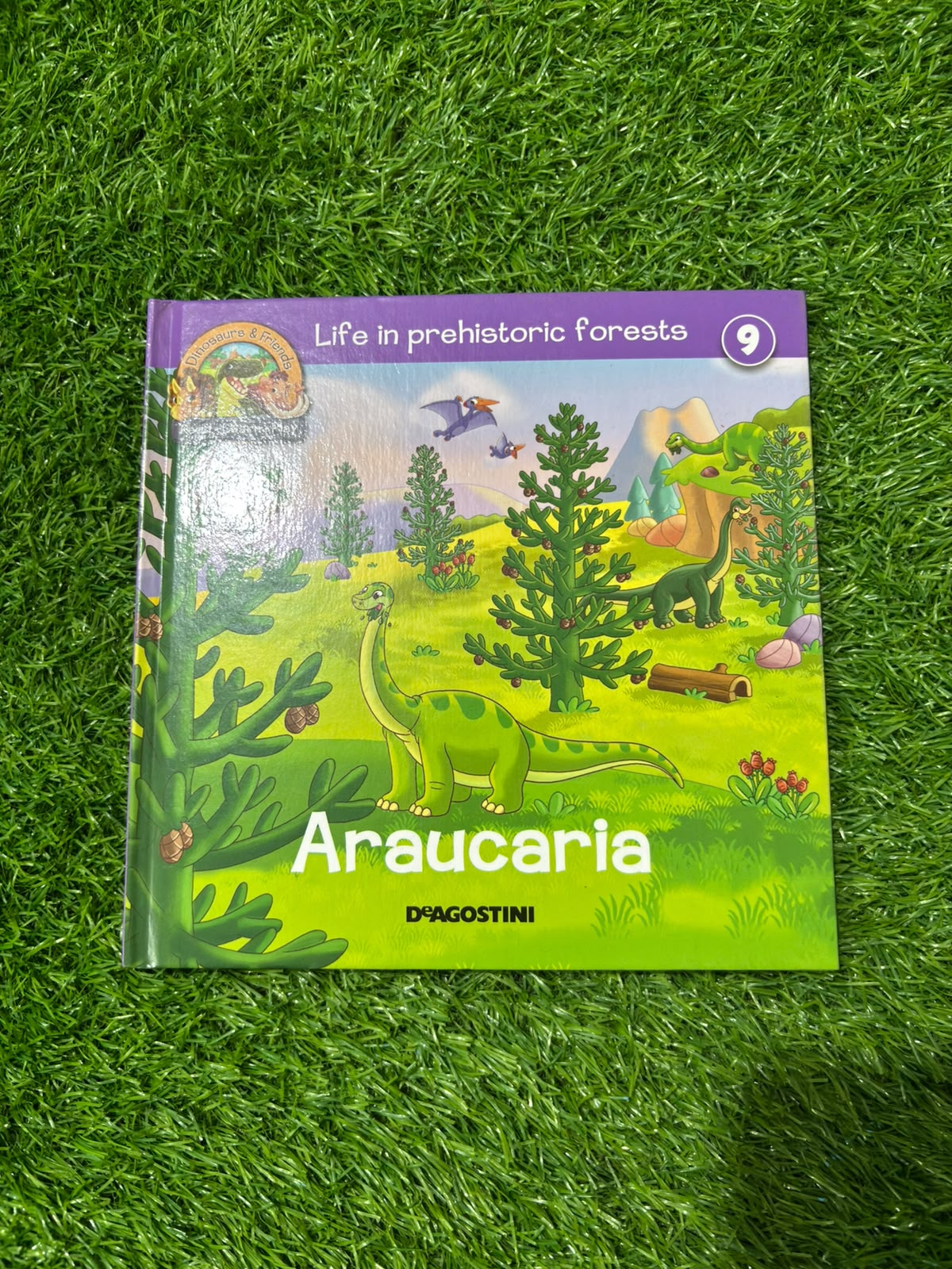 Life in Prehistoric Forest Araucaria
