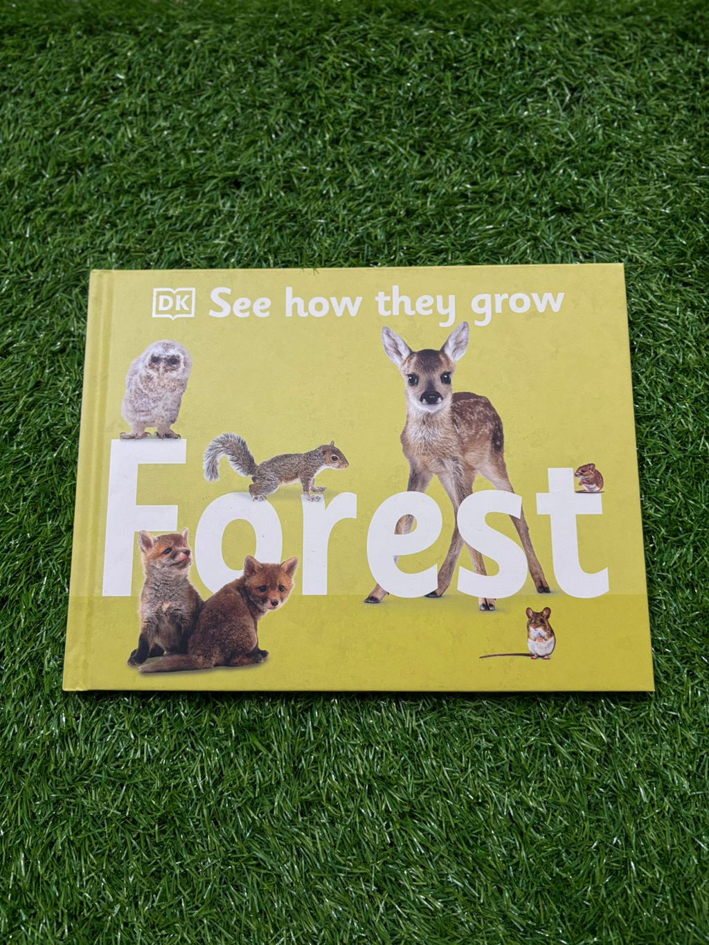 See How They Grow: Forest