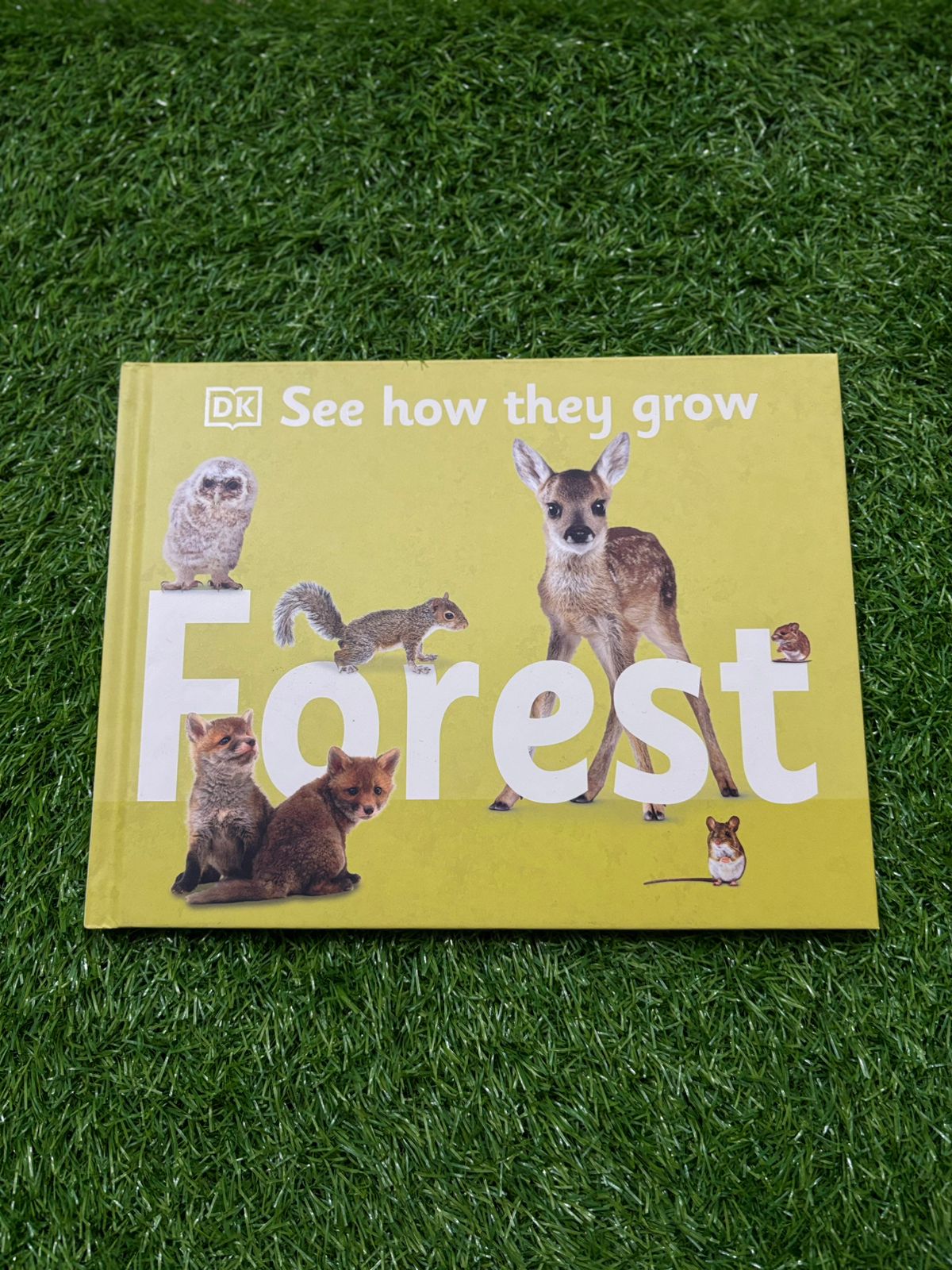 See How They Grow: Forest