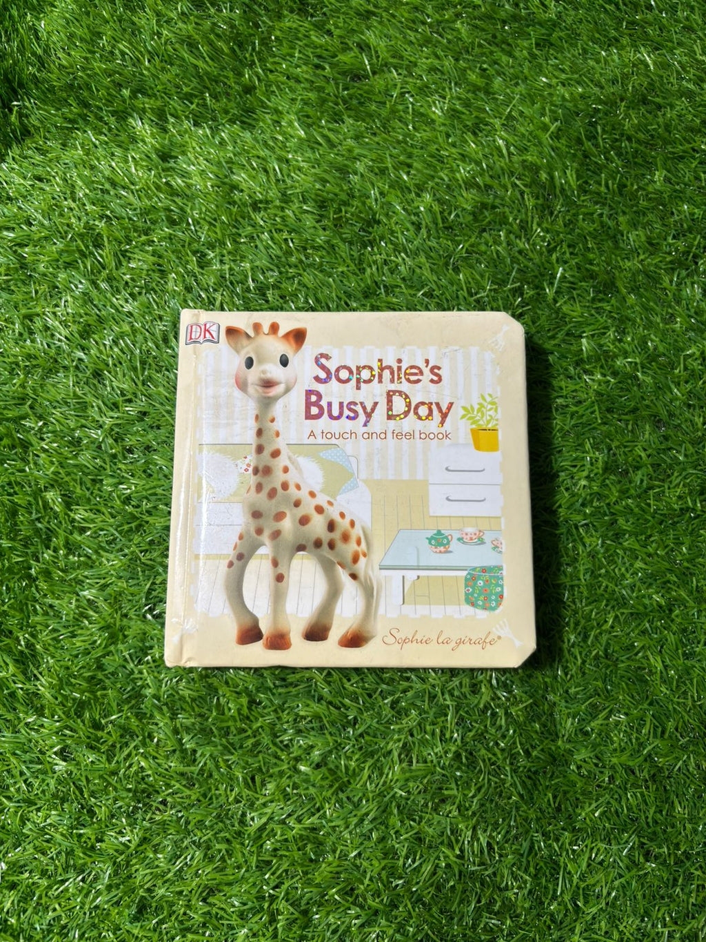 Sophie's Busy Day