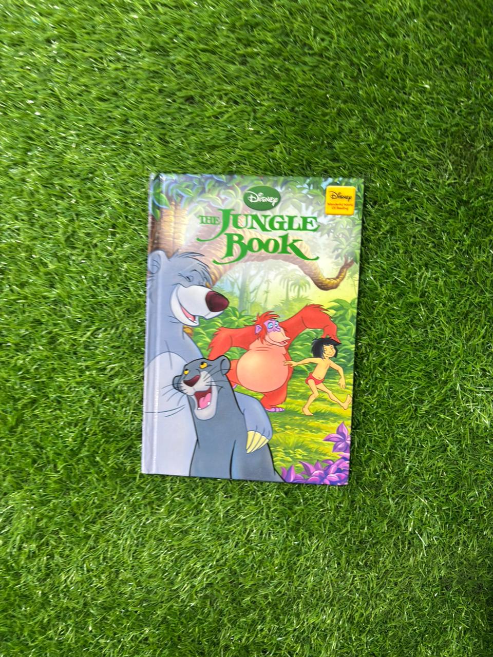The Jungle Book (Disney Wonderful World of Reading)