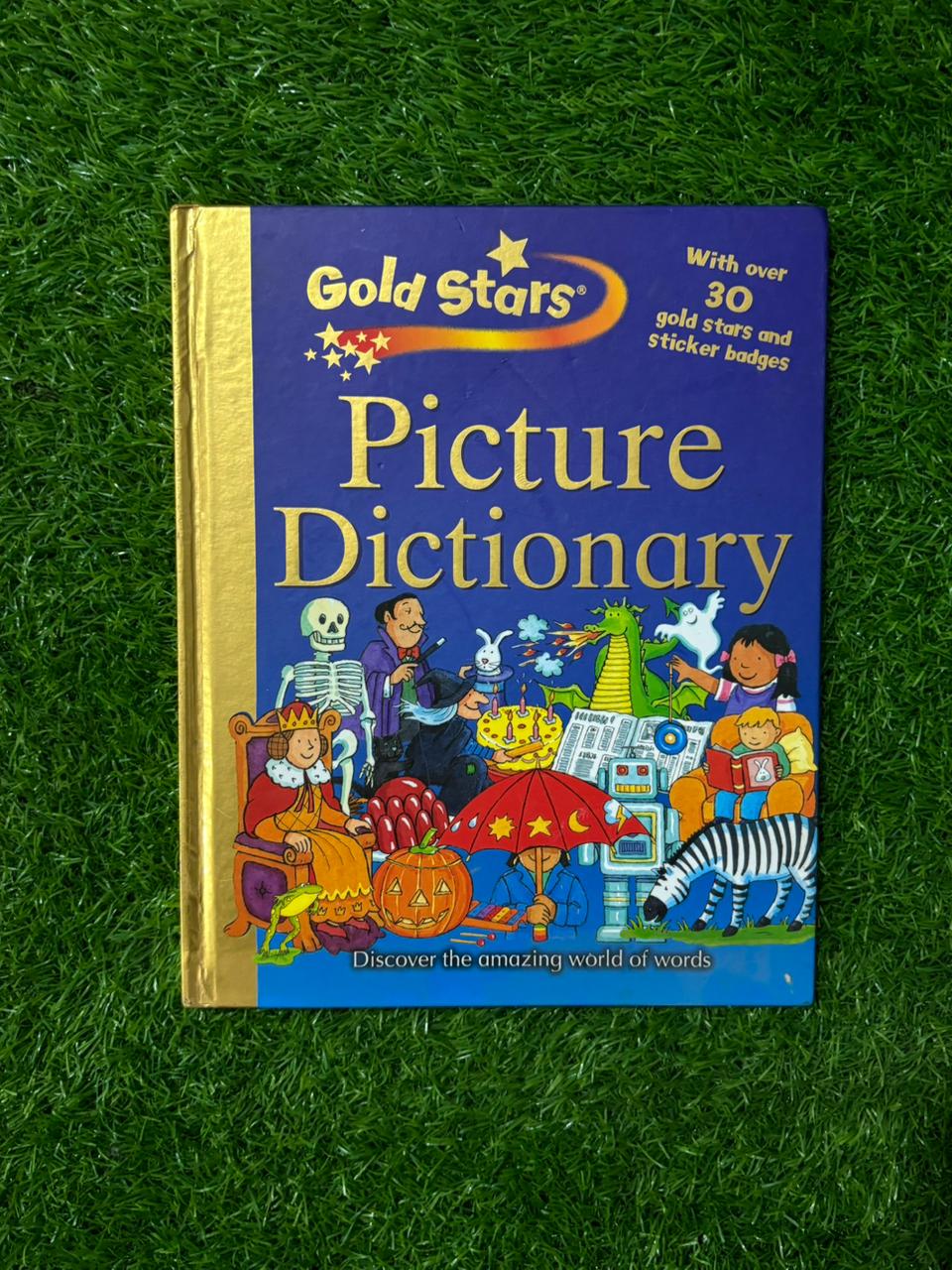 Picture Dictionary (Gold Stars S.) Hardcover