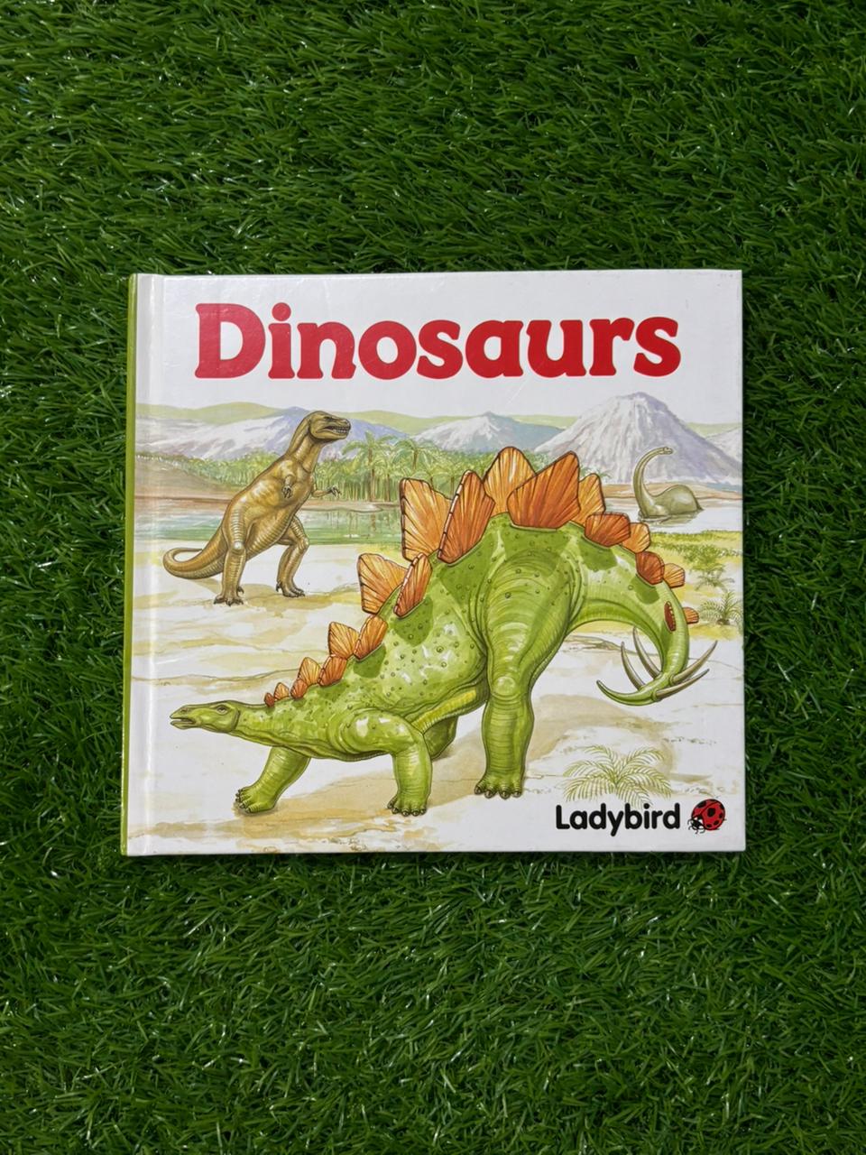13 Dinosaurs (Square books)