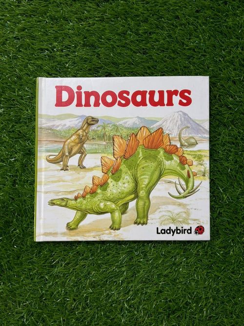 13 Dinosaurs (Square books)
