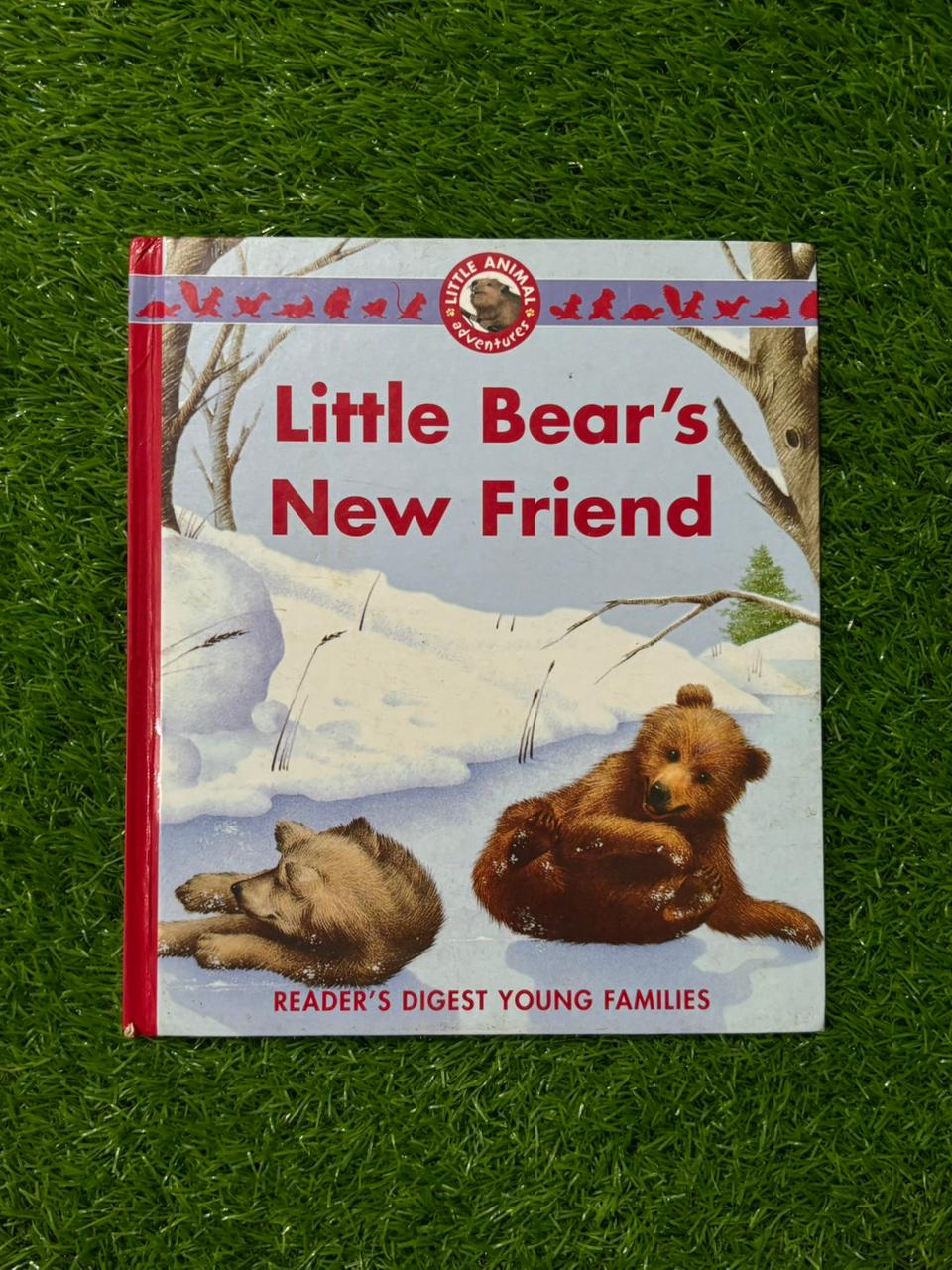 Little Bear's New Friend