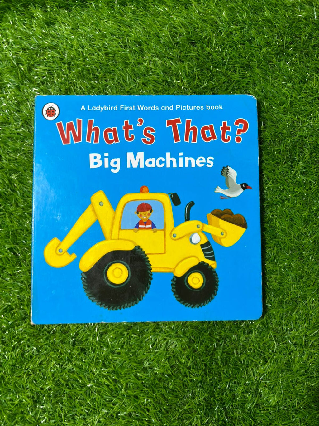 What's That? Big Machines: A Ladybird First Words And Pictures Book