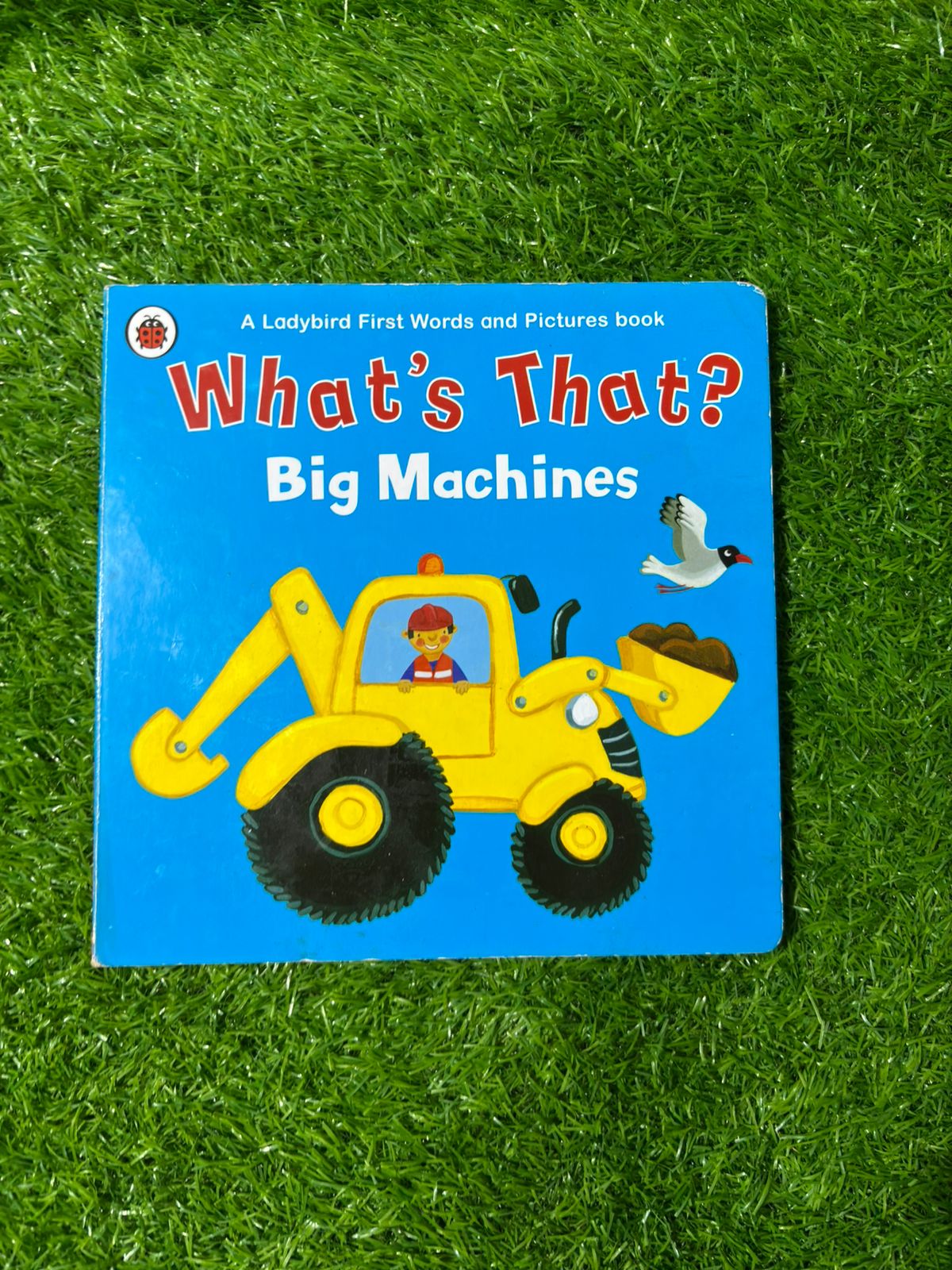 What's That? Big Machines: A Ladybird First Words And Pictures Book