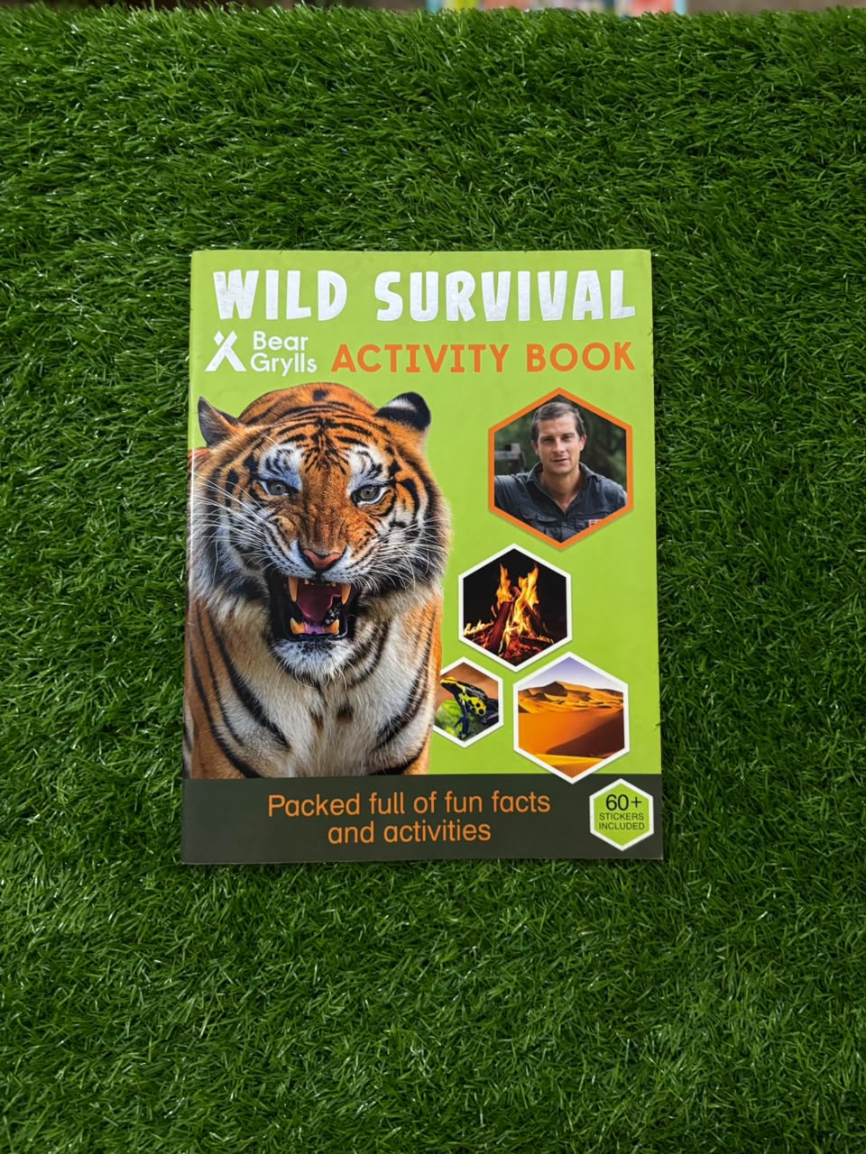 Bear Grylls Sticker Activity: Wild Survival (Bear Grylls Activity)