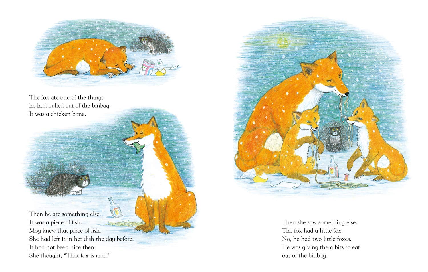 Mog on Fox Night