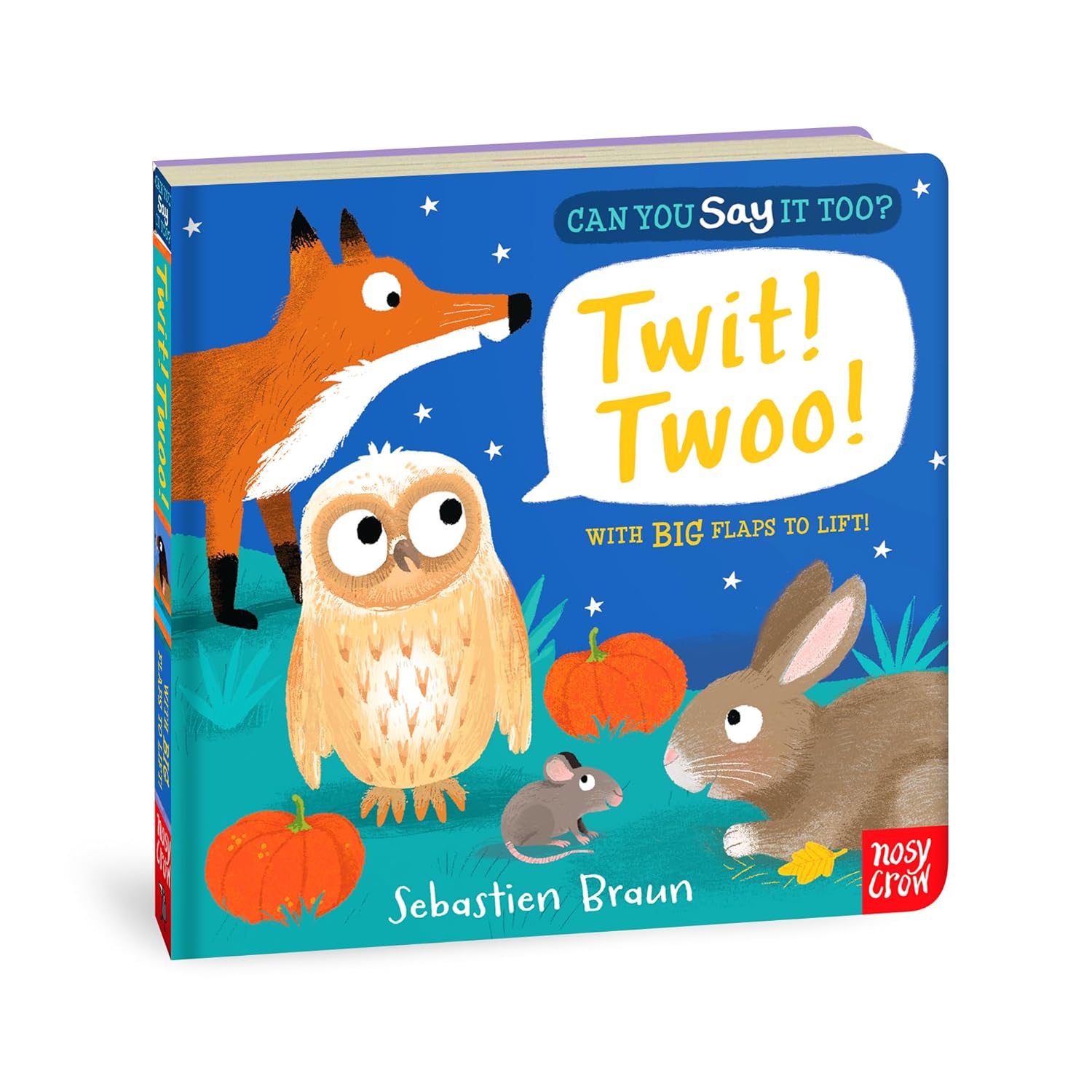 Can You Say It Too? Twit! Twoo!: With BIG Flaps to Lift!