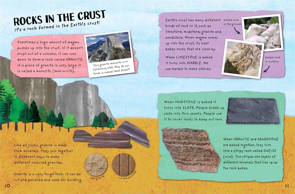 The Curiosity Box: Rocks and Fossils