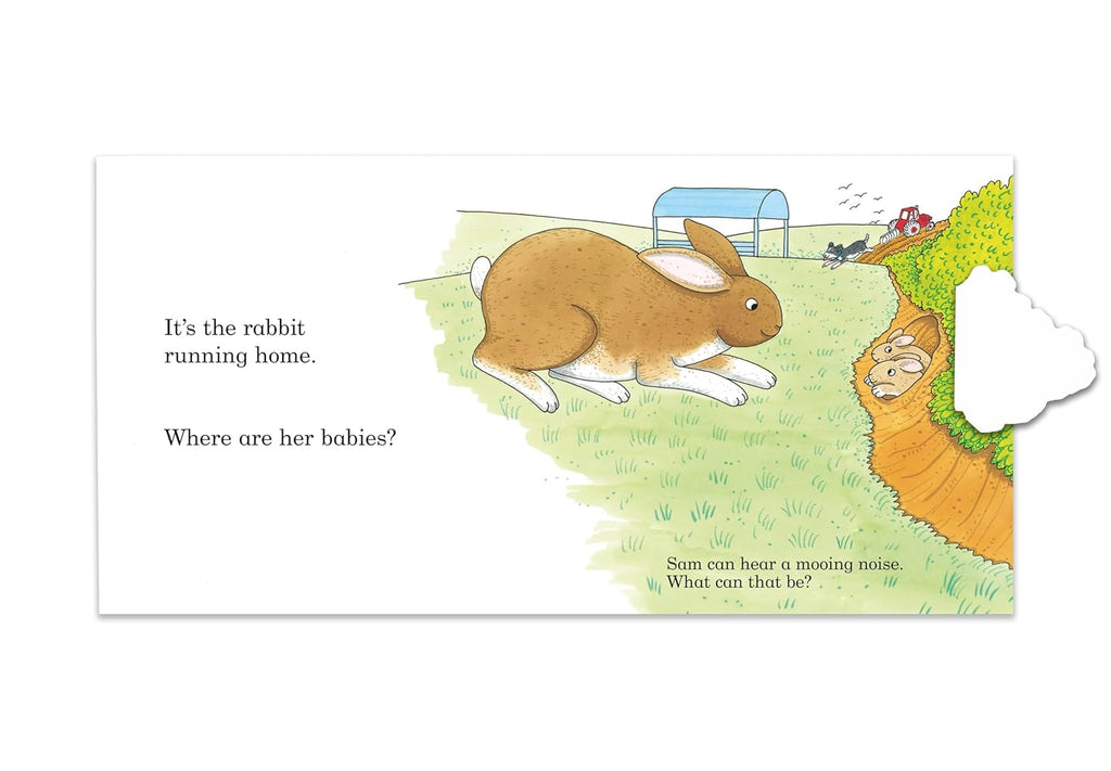Noisy Farm: A lift-the-flap book (Preloved)
