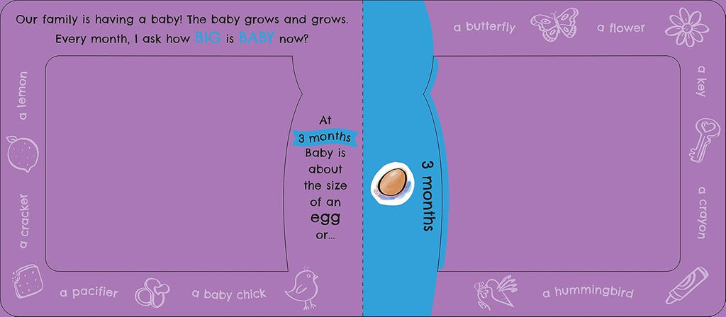 How Big Is Baby Now?: A New Baby Gift Book for Big Brothers and Big Sisters (Baby Shower Gift)