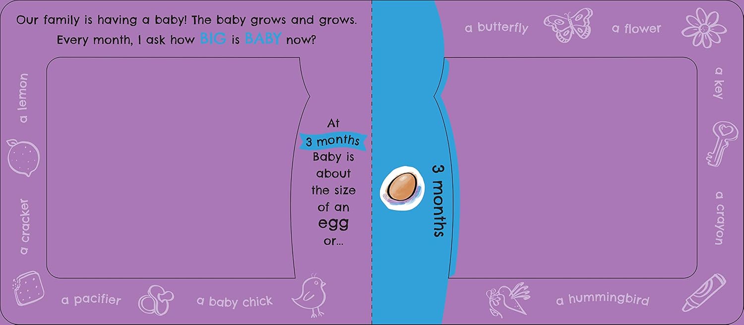 How Big Is Baby Now?: A New Baby Gift Book for Big Brothers and Big Sisters (Baby Shower Gift)