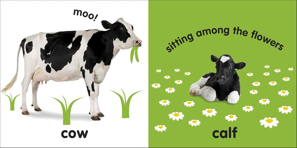 Baby Touch and Feel Farm Animals Mini