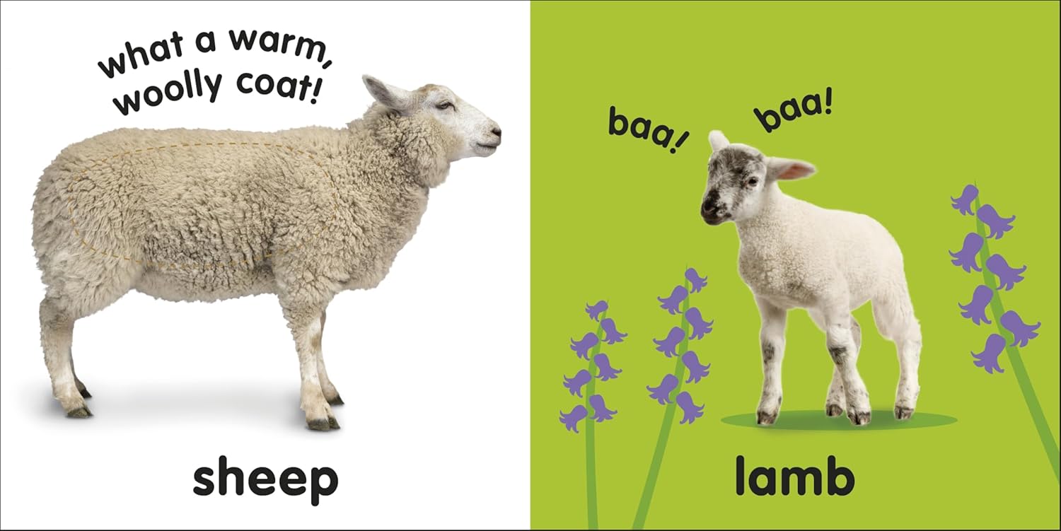 Baby Touch and Feel Farm Animals Mini